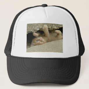 Boné Super Hero Orange Tabby Kitten