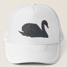 Swan Negro