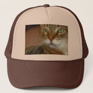 Boné Tabby Cat Love