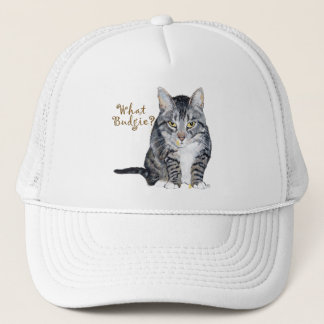 Boné Tabby Cat Pergunta: Que Orçamento?