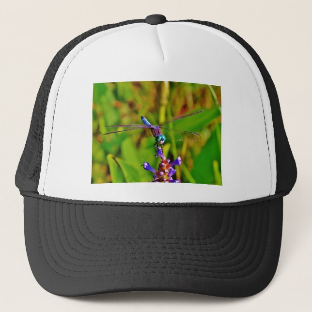 Boné Teal Rainbow Dragonfly (Frente)