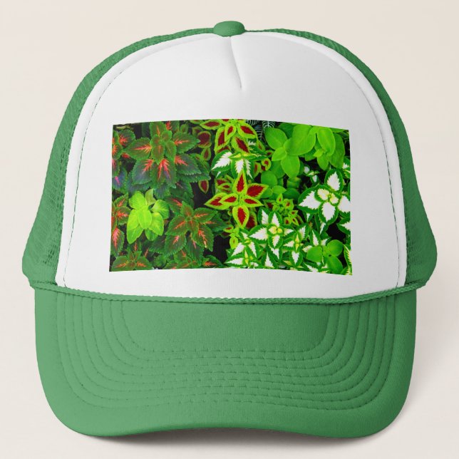 Boné Terra Lover_ (Frente)