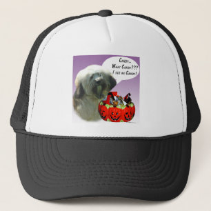 Boné Tibetano Terrier Halloween Candy