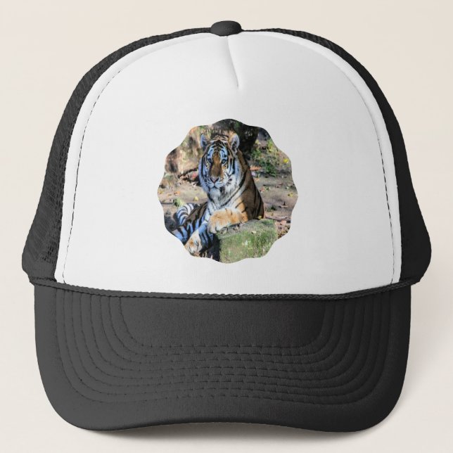 Boné Tigre-de-bengala em Prado Ensolarado (Frente)