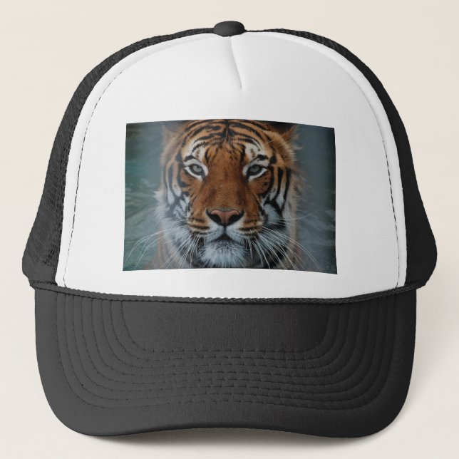 Boné Tigre Gato Stripes Selvagem (Frente)