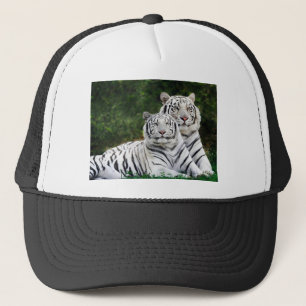 Boné Tigres brancos bonitos