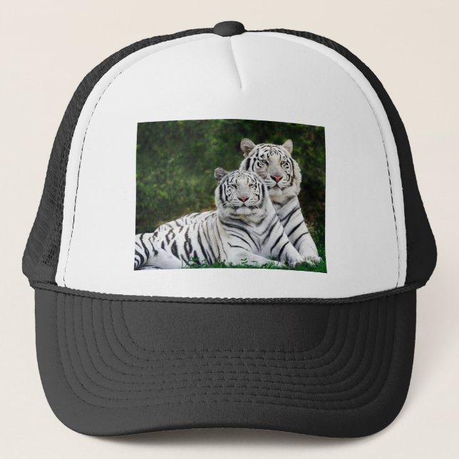 Boné Tigres brancos bonitos (Frente)
