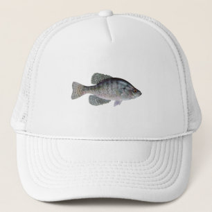 Boné Tipo de peixe branco