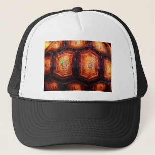 Boné Tortoisinferno