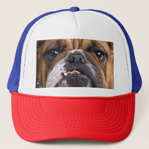 Boné Travesseiro decorativo Inglês Bulldog