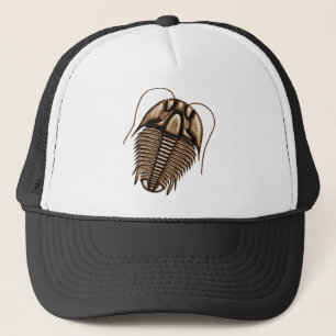 Boné Trilobite