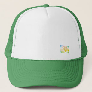 Boné trucker 