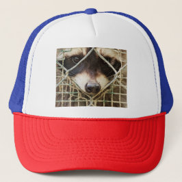 BONÉ TRUCKER DE GUAXINIM