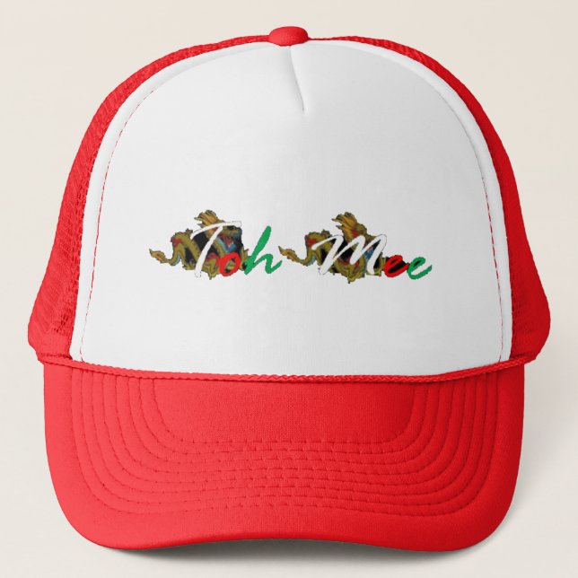 Boné Trucker Hat (Frente)