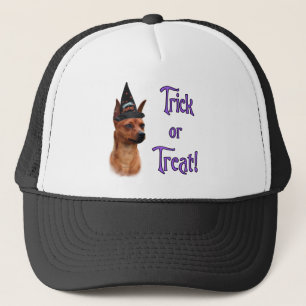 Boné Truque de Pinscher Miniatura