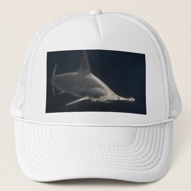 Boné Tubarão de Hammerhead (Frente)