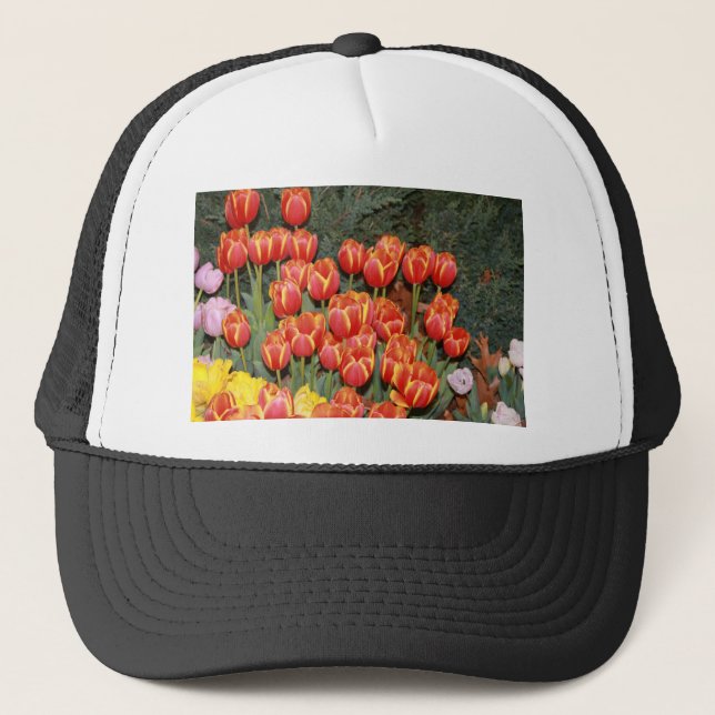 Boné Tulipas Bloomin! (Frente)