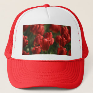 Boné Tulipas vermelhas