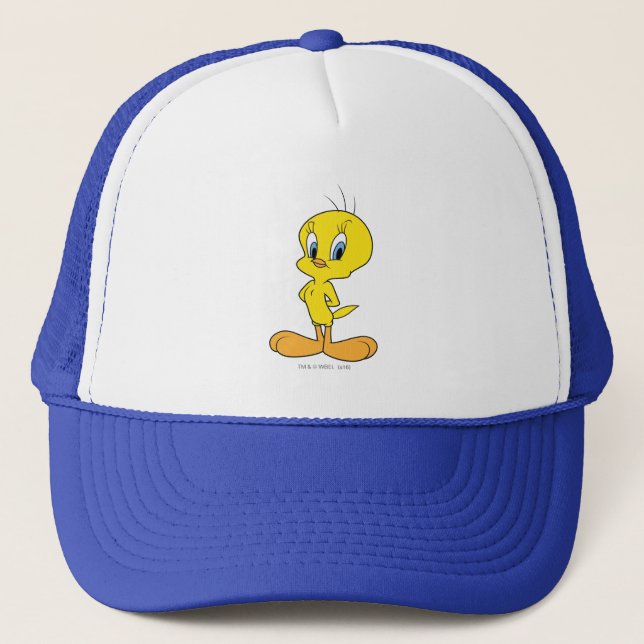 Boné TWEETY™ | Clever Bird (Frente)