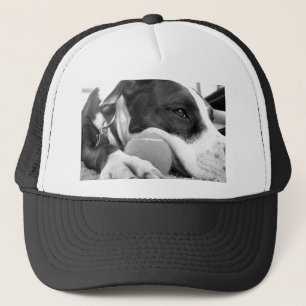 Boné um cachorro pitbull, bonito e bonito, branco com b