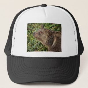 Boné Um urso de urso de sorriso