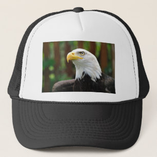 Boné Uma imagem da águia americana dos Estados Unidos