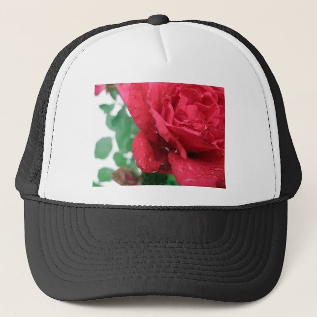 Boné Uma Rosa vermelha (Frente)