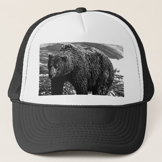 Boné Urso castanho do Alasca Vintage USA (Frente)