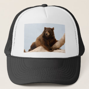 Boné Urso Grande Marrom em um Log