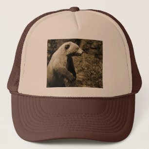 Boné Urso Orgulhoso