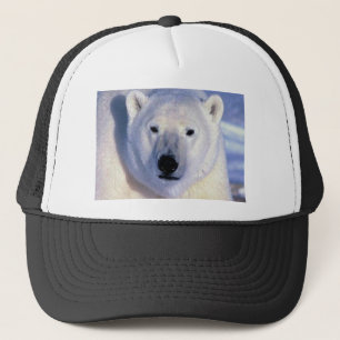 Boné Urso Polar