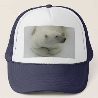 Boné Urso polar aplanando