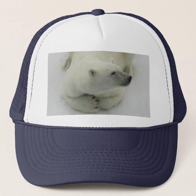 Boné Urso polar aplanando (Frente)