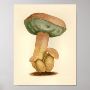 Boné Verde da Impressão de Arte do Vintage Mushr
