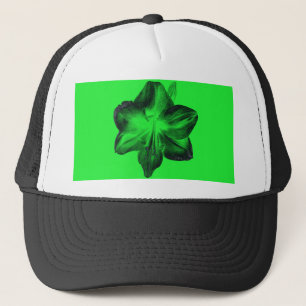 Boné Verde Escuro sobre o Amaryllis Verde Claro