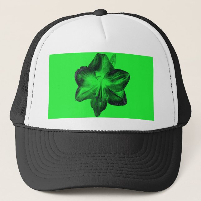Boné Verde Escuro sobre o Amaryllis Verde Claro (Frente)