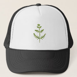 Boné verde primavera