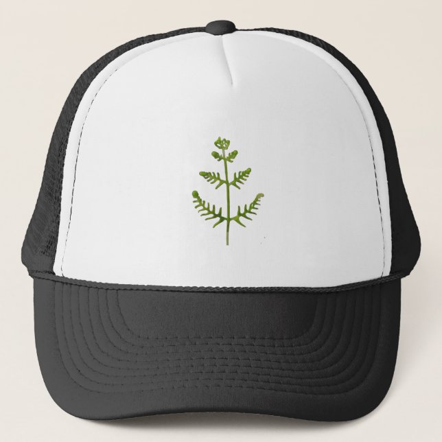 Boné verde primavera (Frente)
