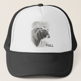 Boné Vintage Bull