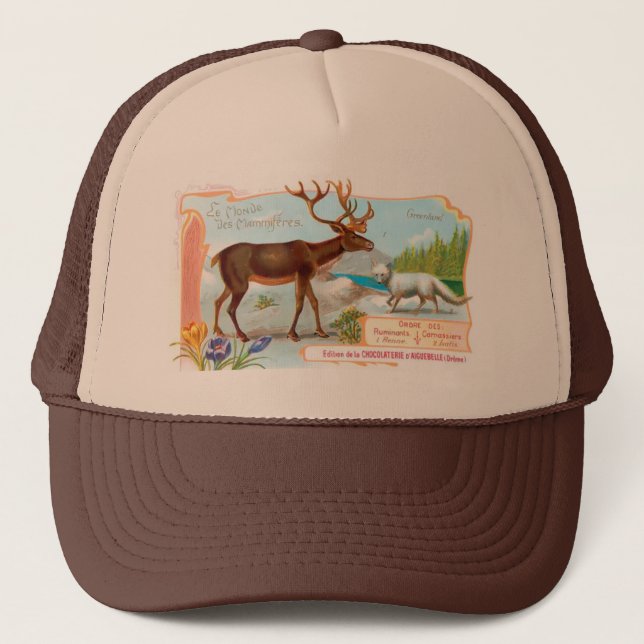 Boné Vintage Cariou (Reindeer) e Raposa Árctica (Frente)