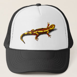 Boné Vintage fire Salamander