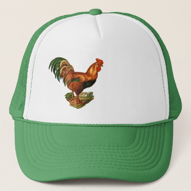 Boné Vintage Green Tail Feather Rooster Cockerel (Frente)