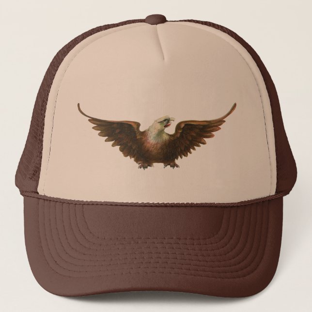 Boné Vintage Patriotism American Bald Eagle Bird Voando (Frente)