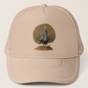 Boné Vintage Peacock..