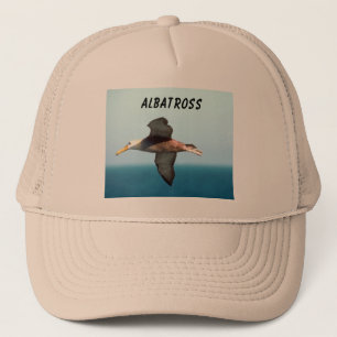Boné Vôo do albatroz