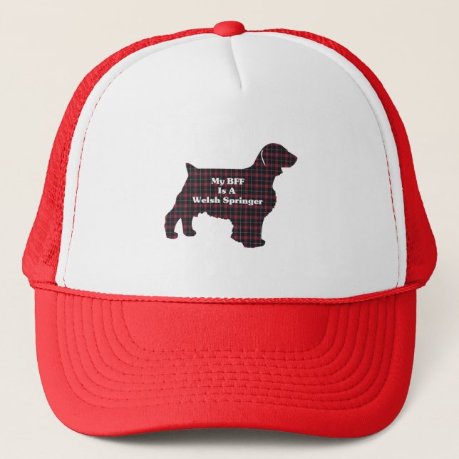 Boné Welsh Springer SPANIEL BFF (Frente)