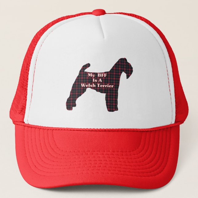 Boné Welsh Terrier BFF Gifts (Frente)