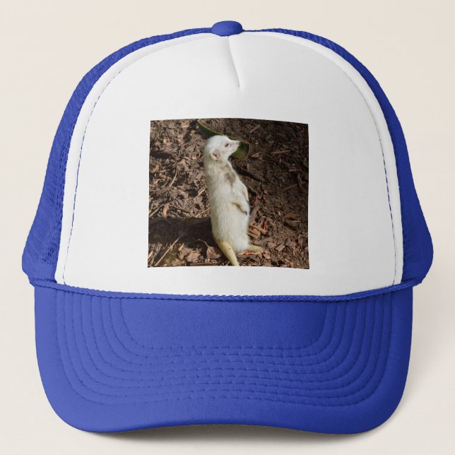 Boné White Meerkat Standby, (Frente)
