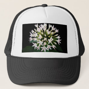 Boné White Pentas