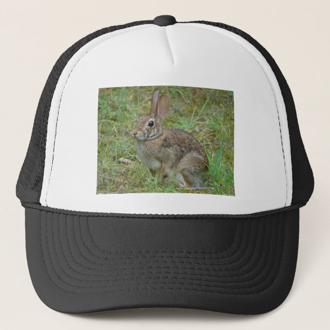 Boné Wild Rabbit Eastern Cottontail II Apparel & Gifts (Frente)
